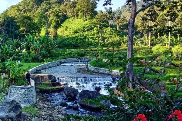 Hutan Pinus Nongko Ijo, Destinasi Alam Teduh di Lereng Gunung Lawu