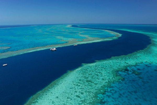 Great Barrier Reef, Keajaiban Alam Australia yang Memukau