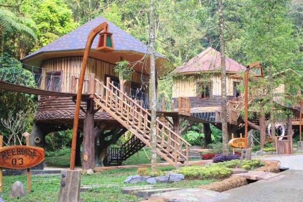 Rumah Pohon Katingan, Penginapan Unik di Tengah Hutan Kalimantan