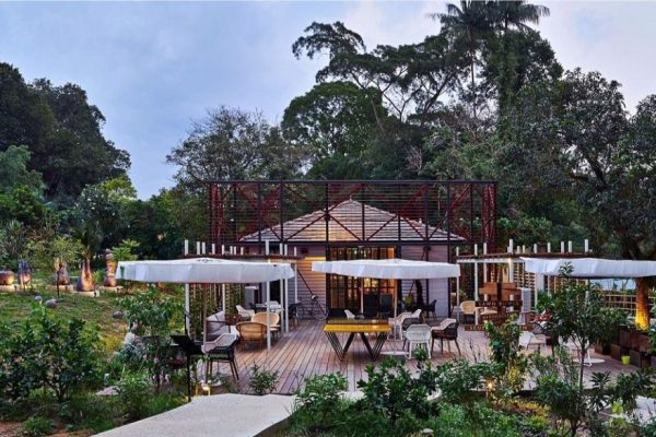 Restoran Farm-to-Table, Menikmati Hidangan Segar dari Ladang ke Meja